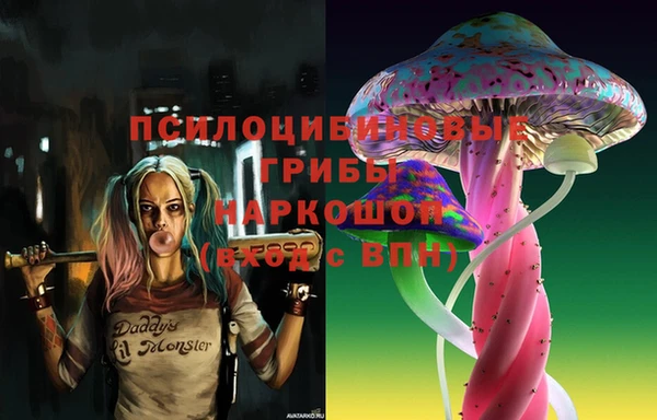 а пвп мука Алзамай