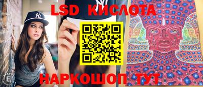ПСИЛОЦИБИНОВЫЕ ГРИБЫ Рязань