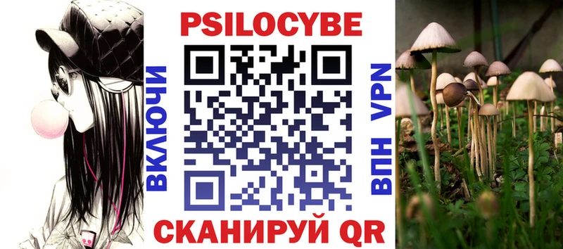 закладки  Новокубанск  Галлюциногенные грибы Psilocybe 
