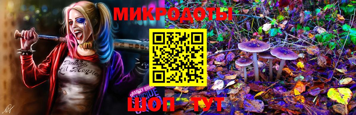 Галлюциногенные грибы прущие грибы Новокубанск